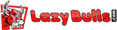 LazyBulls Domain and Hosting Services Pvt Ltd